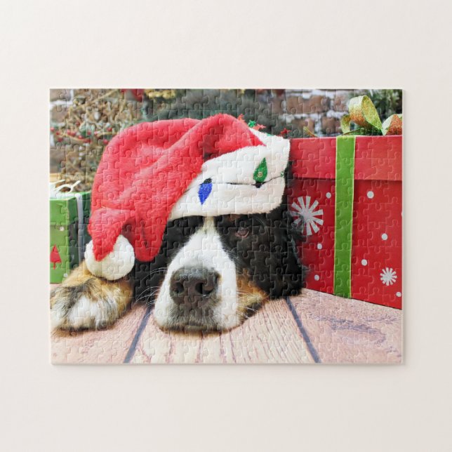 Weihnachten - Berner Hund - Mya (Horizontal)