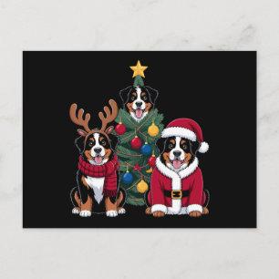 Weihnachten Berner Sennenhund Weihnachtsmann Weihn