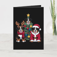 Weihnachten Berner Sennenhund Weihnachtsmann Weihn