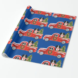 Weihnachten Berner Sennenhunde Roter LKW Blau Geschenkpapier