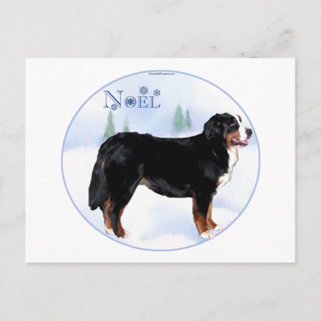 Weihnachten Bernese Mountain Dog (Vorderseite)
