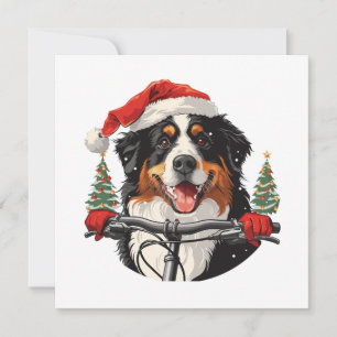 Weihnachten Bernese Mountain Dog Biking