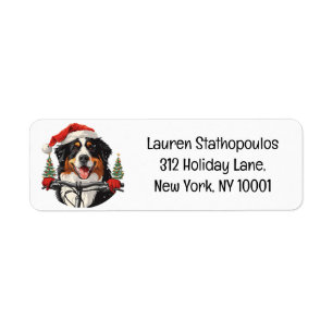 Weihnachten Bernese Mountain Dog Biking