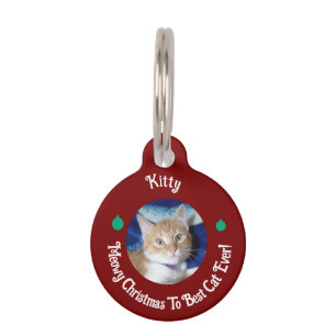 Weihnachten, beste Katze überhaupt, Katzenfoto,  Haustiermarke