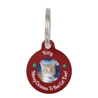 Weihnachten, beste Katze überhaupt, Katzenfoto, Haustiermarke