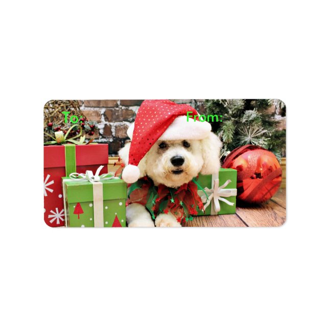 Weihnachten - Bichon Frise - Daisy Adressaufkleber (Vorne)