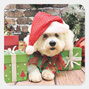 Weihnachten - Bichon Frise - Gänseblümchen Quadratischer Aufkleber