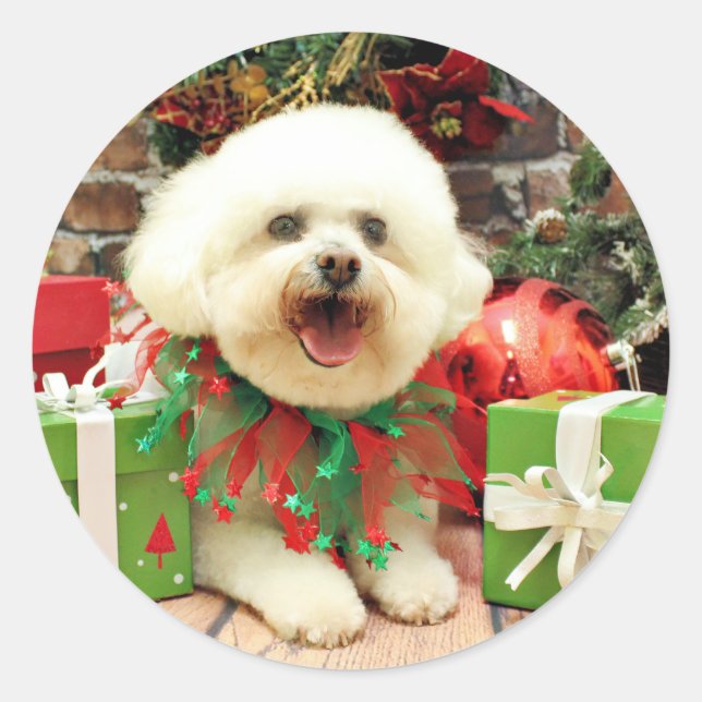 Weihnachten - Bichon Frise - Mori Runder Aufkleber (Vorderseite)