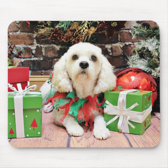 Weihnachten - Bichon Frise X - Maya Mousepad (Vorne)