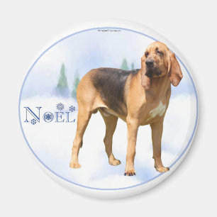 Weihnachten Bloodhound Magnet