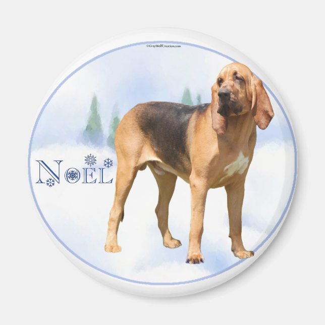 Weihnachten Bloodhound Magnet (Vorne)
