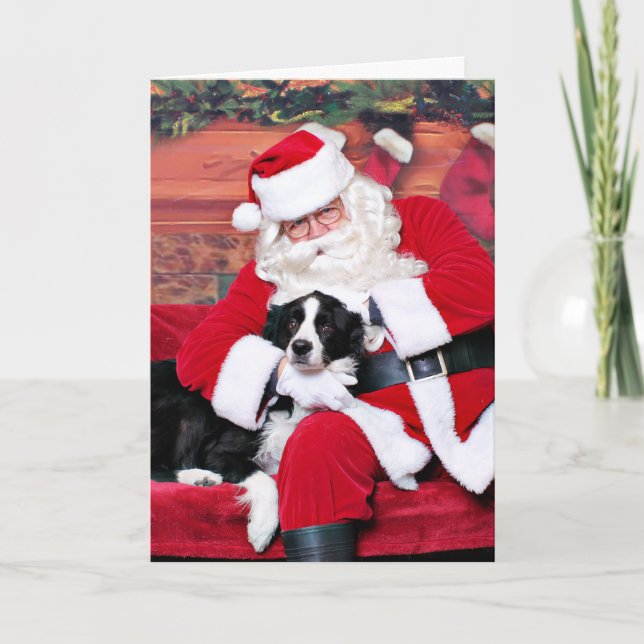 Weihnachten - Border Collie - Gedreht (Vorderseite)