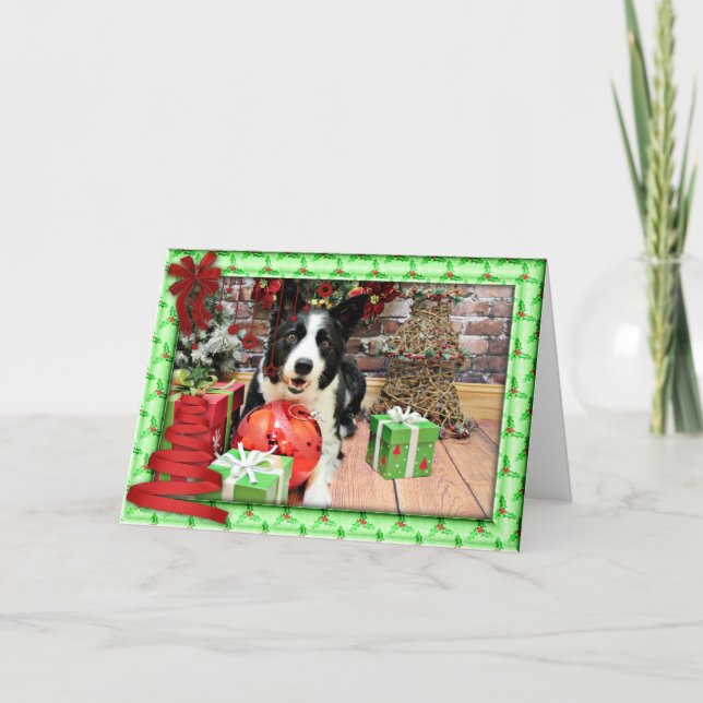Weihnachten - Border-Collie - Yaeger (Vorderseite)