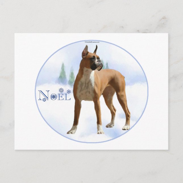 Weihnachten Boxer (Vorderseite)