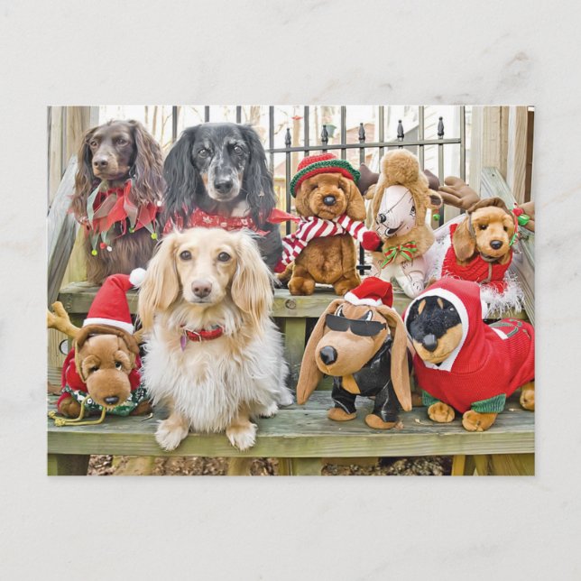 Weihnachten bringt die ganze Familie zusammen (Vorderseite)