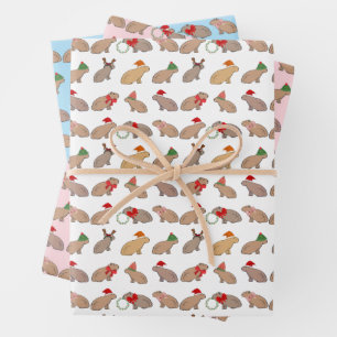 Weihnachten Capybara Niedlich Zoo Tier HandGezeich Geschenkpapier Set