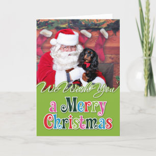 Weihnachten - Cavalier King Charles Spaniel - Spen