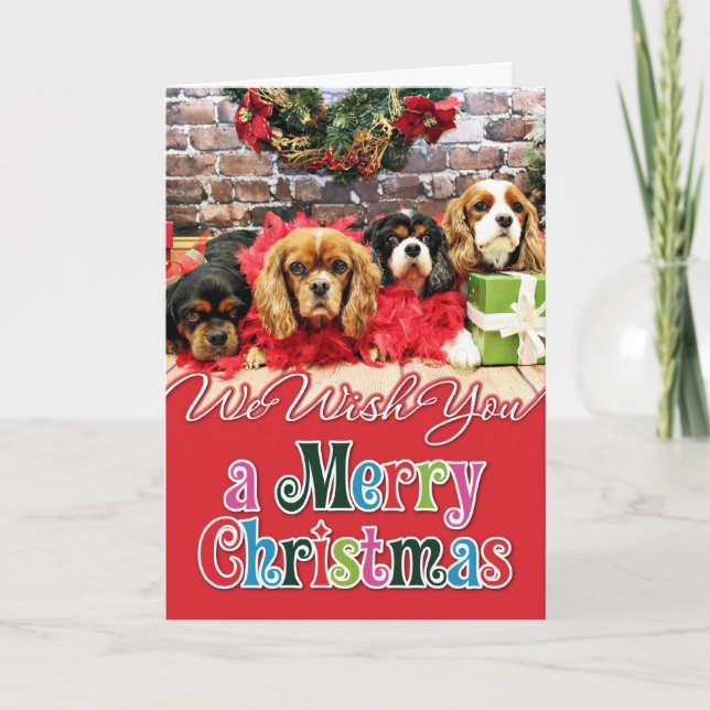 Weihnachten - Cavalier - Süßes Erbsen, Lily, Rose  (Vorderseite)