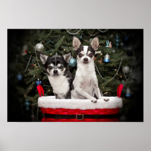 Weihnachten Chihuahua ist in einem roten Korb Poster