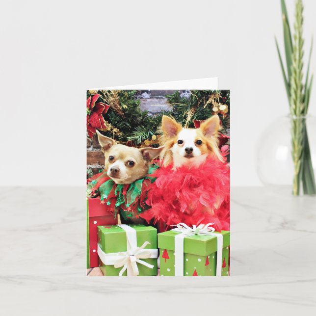 Weihnachten - Chihuahua - Meilen und Ivy (Vorderseite)