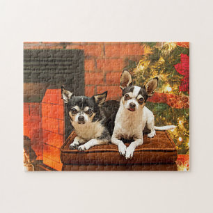 Weihnachten Chihuahuas