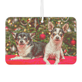 Weihnachten Chihuahuas Autolufterfrischer