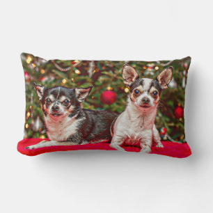 Weihnachten Chihuahuas Lendenkissen