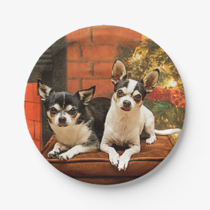 Weihnachten Chihuahuas Pappteller