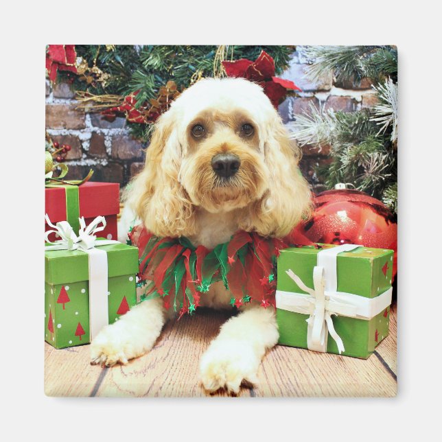 Weihnachten - Cockapoo - Buddy Magnet (Vorne)