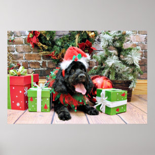Weihnachten - Cockapoo - Jack Poster