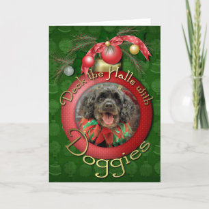 Weihnachten - Cockapoo - Rocky