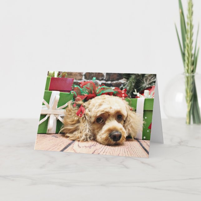 Weihnachten - Cockapoo - Rubin (Vorderseite)