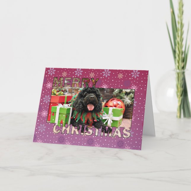 Weihnachten - Cockapoo - Sophie (Vorderseite)