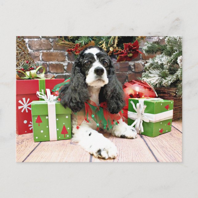 Weihnachten - Cocker Spaniel - Laci (Vorderseite)