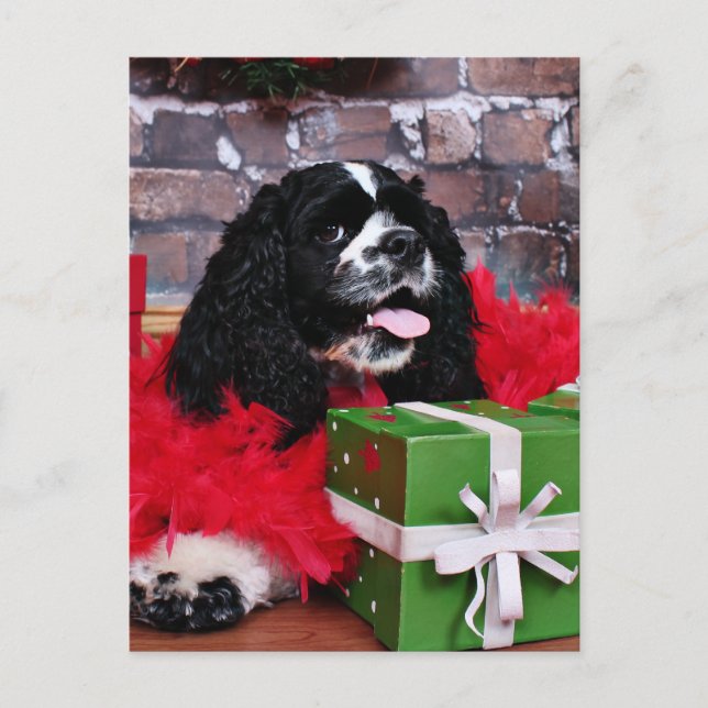 Weihnachten - Cocker Spaniel - Maggie (Vorderseite)