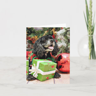 Weihnachten - Cocker spaniel - Marshall