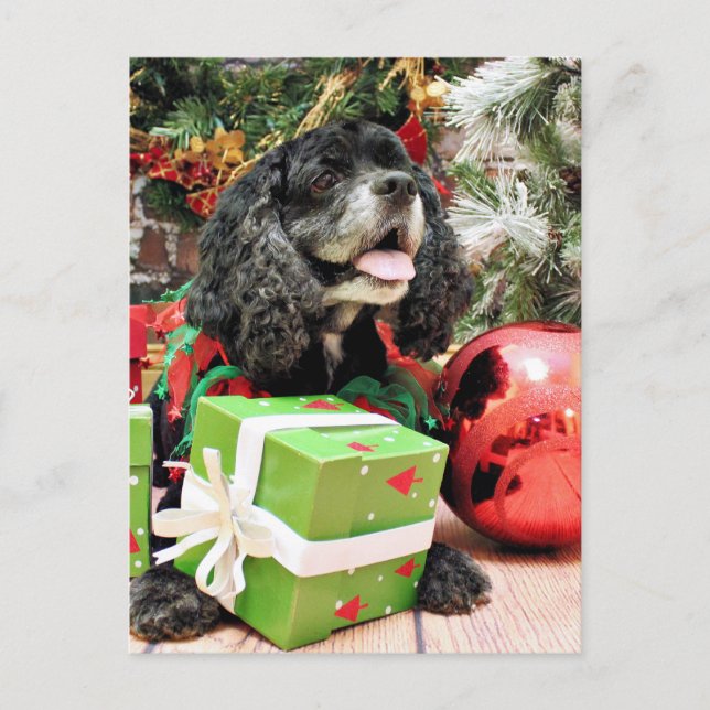 Weihnachten - Cocker Spaniel - Marshall (Vorderseite)