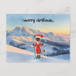 Weihnachten der Katze Weihnachtsmann Siamese Katze