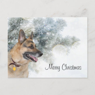 Weihnachten des deutschen Hirten