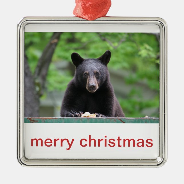 Weihnachten des schwarzen Bären Silbernes Ornament (Vorne)