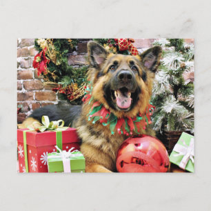 Weihnachten - Deutscher Schäferhund - Thor