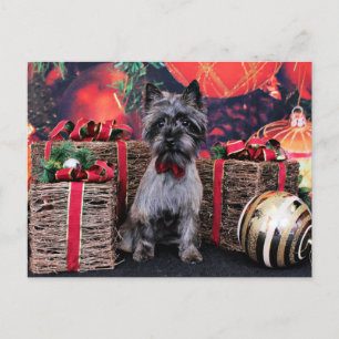 Weihnachten - Dexter - Steinhaufen