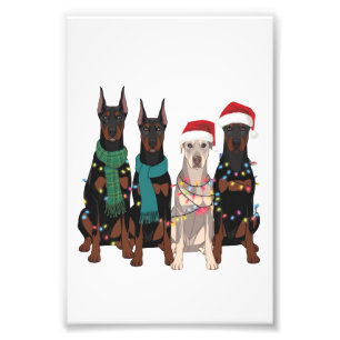 Weihnachten Dobermann Liebhaber Hundemutter Feiert Fotodruck