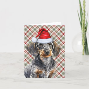 Weihnachten Drahthaarterrier Dackel und Urlaub Kar