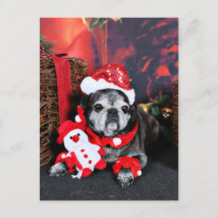 Weihnachten - Engel - Mops