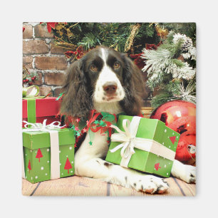 Weihnachten - englischer SpringerSpaniel - Kinzie Magnet