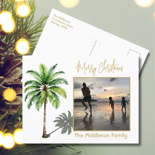 Weihnachten Familie Foto Tropical Palm Tree Postca (Von Creator hochgeladen)