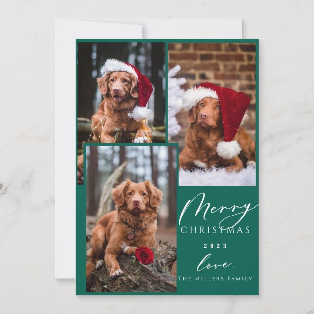 Weihnachten Funny Pet Frohe Weihnachten 3 Foto Hol (Vorderseite)