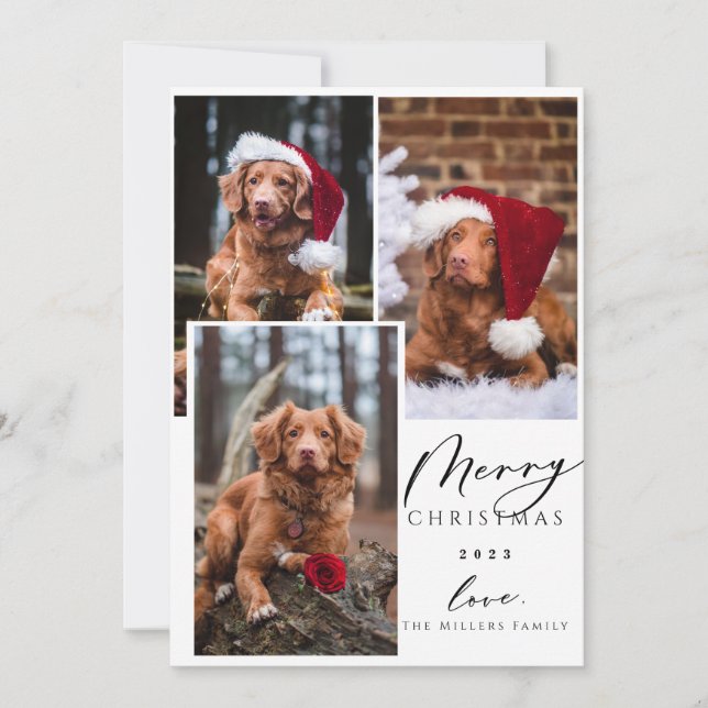 Weihnachten Funny Pet Frohe Weihnachten 3 Foto Hol (Vorderseite)