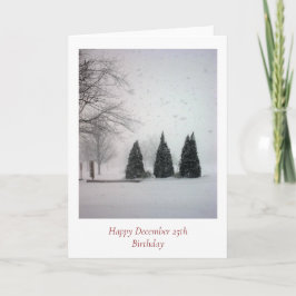 Weihnachten Geburtstag 6 - Schnee